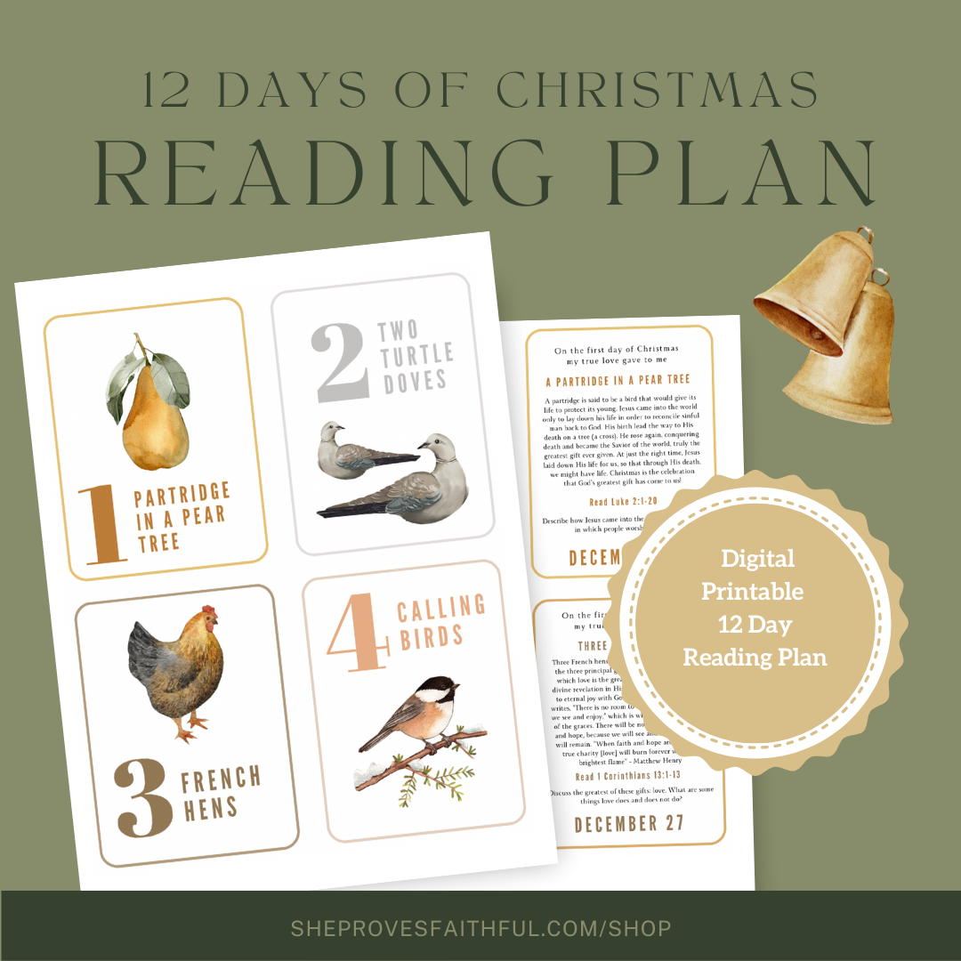 Twelve Days of Christmas Reading Plan and Devotion